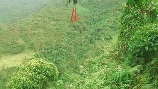 ���ोलम्बियाई मा वन गर्न दिन भाषा र गडबड अपरिचित संग सेक्स को लागि विनिमय मा वित्तीय मदत । 