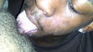 Шӱкалтышым ышташ йӧратыше да ныряние киска