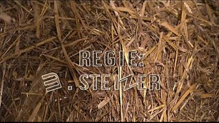 La Ĉefurba Regiono Lutschi