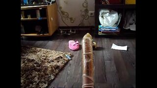 ���ူပြင်းတဲ့မြည်းကိုစုတ်