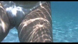 секси кӧргыштӧ d;porto barra da вӱдыштӧ, salvador bahia