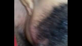 ���ోసం ముడ్డి aflor