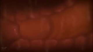 Cumming barruan sabelean