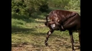 Сэкс ўтрох у Тунде